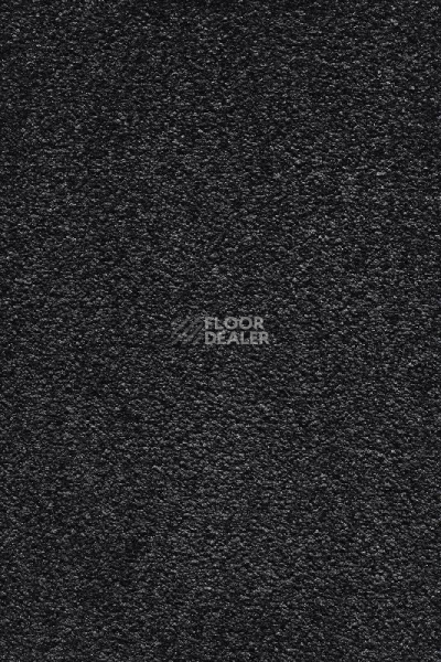 Ковролин AW Masquerade Moana 99 фото 1 | FLOORDEALER